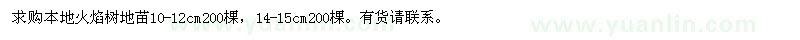 求購(gòu)火焰樹地苗