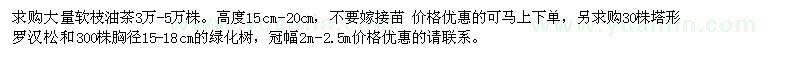 求購大量軟枝油茶3萬(wàn)-5萬(wàn)株、塔形羅漢松等