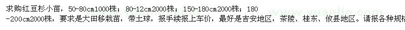 求購紅豆杉小苗