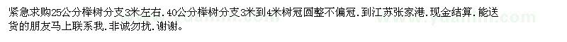 求購(gòu)25公分櫸樹(shù)分支3米左右 40公分櫸樹(shù)