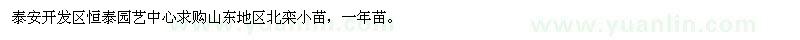 求購北欒小苗