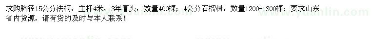 求購法桐、石榴
