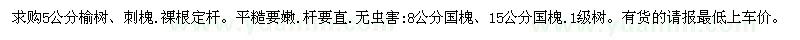 求購5公分榆樹