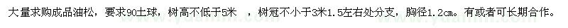 求購5米成品油松