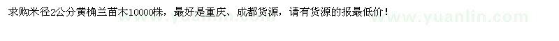求購米徑2公分黃桷蘭10000株