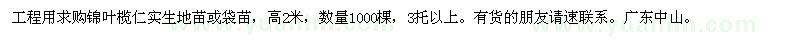 求購錦葉欖仁實生地苗或袋苗