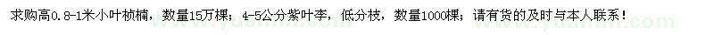 求購小葉楨楠、紫葉李