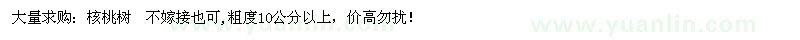 求購核桃樹