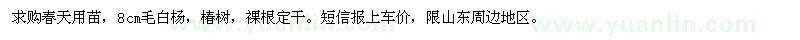 求購8cm毛白楊，椿樹