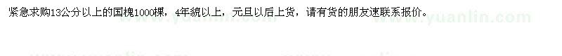 求購13公分以上的國槐1000棵