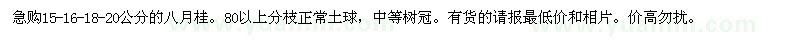 求購(gòu)八月桂15-16-18-20公分 