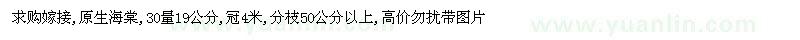 求購(gòu)嫁接,原生海棠30量19公分 