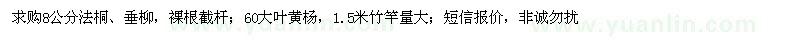 求購法桐、垂柳、大葉黃楊 