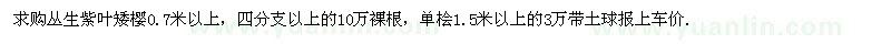 求購叢生紫葉矮櫻0.7米以上，單檜1.5米以上 