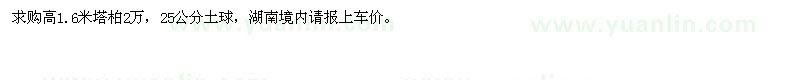 求購高1.6米塔柏2萬