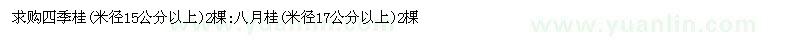 求購四季桂(米徑15公分以上)2棵:八月桂(米徑17公分以上)2棵