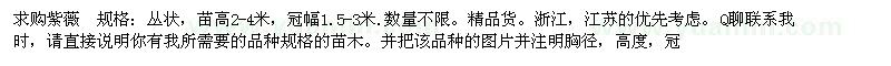 求購紫薇