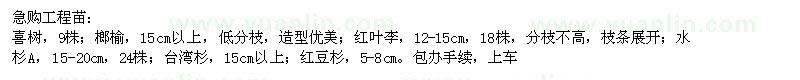求購喜樹、榔榆、紅葉李等