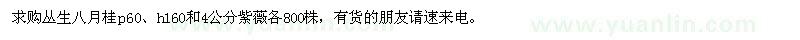 求購叢生八月桂和4公分紫薇