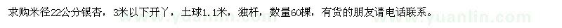 求購米徑22公分銀杏