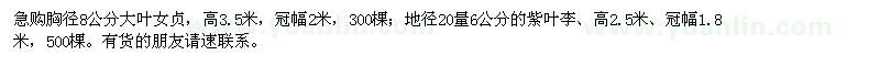 求購急大葉女貞,紫葉李