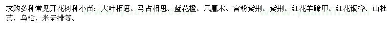 求購大葉相思、馬占相思、藍花楹