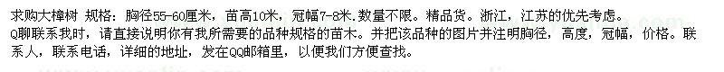 求購大樟樹胸徑55-60厘米 