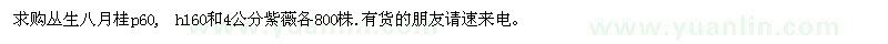 求購叢生八月桂p60, h160和4公分紫薇各800株