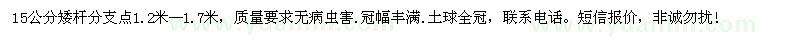 求購矮桿國槐