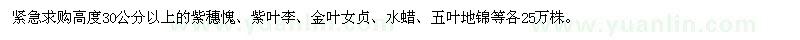 求購(gòu)高度30公分以上的紫穗愧