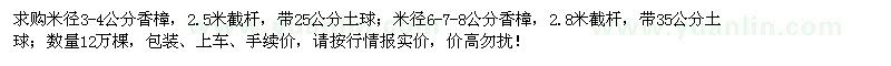 求購(gòu)米徑3-4、6-8公分香樟12萬(wàn)棵