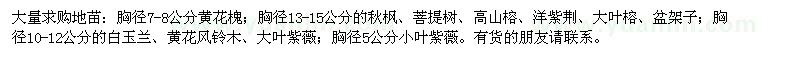 求購黃花槐,秋楓,大葉榕,盆架子,紫薇