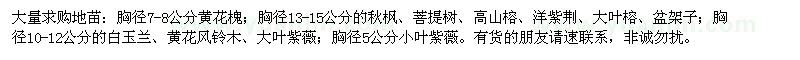 求購黃花槐、秋楓、菩提樹、高山榕、洋紫荊、大葉榕、盆架子、白玉蘭、黃花風鈴木、大葉紫薇、小葉紫薇 