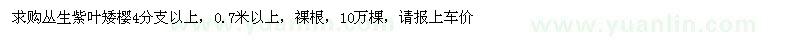 求購叢生紫葉矮櫻0.7米以上10萬棵 