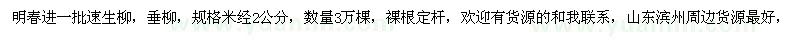 求購2公分速生柳，垂柳