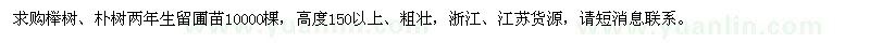 求購(gòu)櫸樹(shù),樸樹(shù)兩年生留圃苗