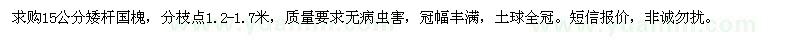 求購(gòu)15公分矮桿國(guó)槐