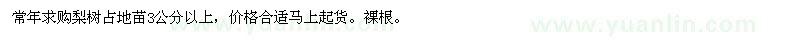 求購常年梨樹占地苗3公分以上