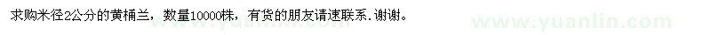 求購米徑2公分的黃桶蘭