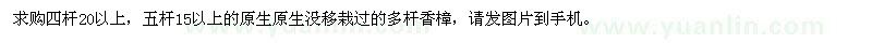 求購四桿以上叢生每桿徑20以上的原生沒移栽過的多桿香樟