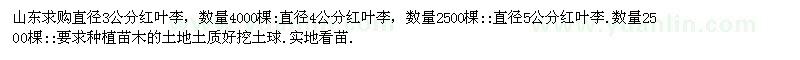 求購(gòu)山東紅葉李數(shù)量9000棵