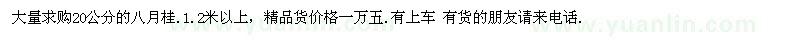 求購20公分的八月桂