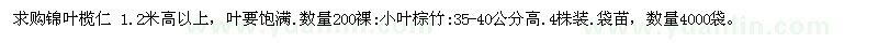 求購錦葉欖仁