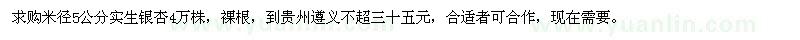 求購米徑5公分銀杏裸根苗
