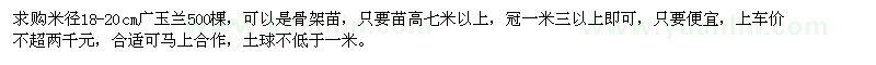 求購(gòu)米徑18-20cm廣玉蘭