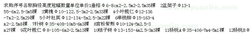求購垂榕、盆架子、黃槐、小葉欖仁等