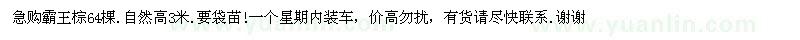 求購急購霸王棕64棵.自然高3米.要袋苗