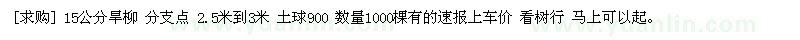 求購15公分旱柳 分支點(diǎn) 2.5米到3米