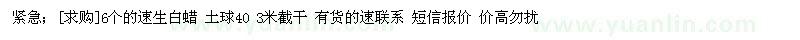 求購6個的速生白蠟 土球40 3米截干