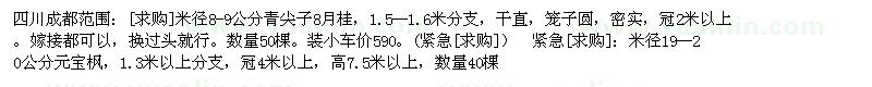 求購米徑8-9公分青尖子8月桂，米徑19--20公分元寶楓